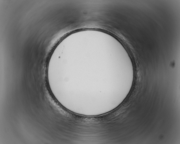 X0000115501416200912041028