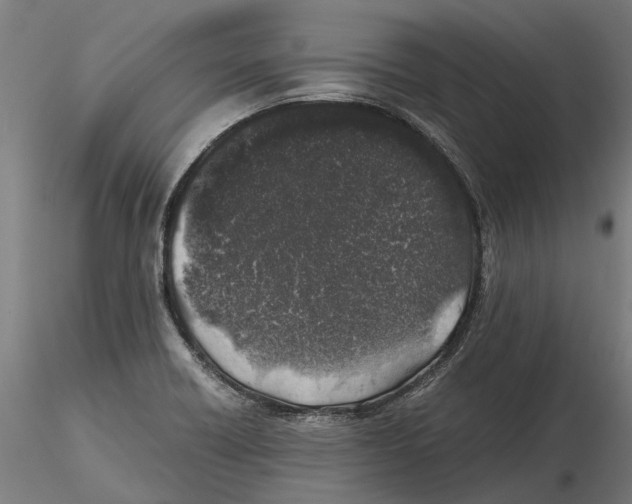 X0000115501418200912041028