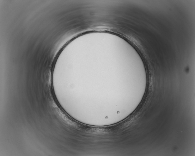 X0000115501420200912041028