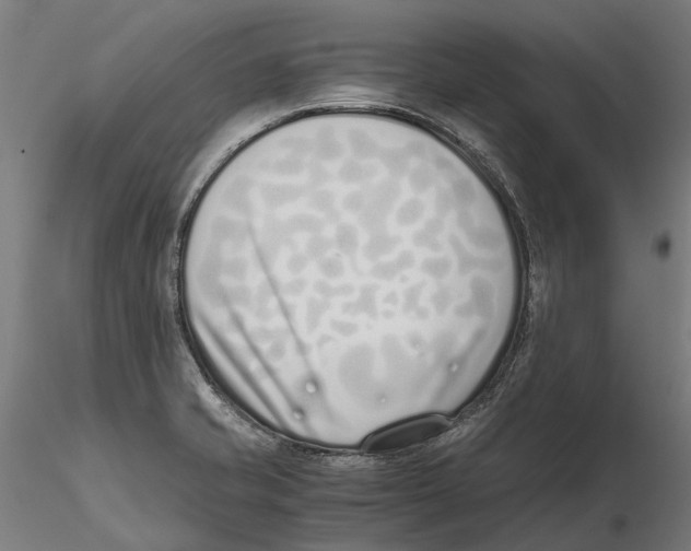 X0000115501421200912041028