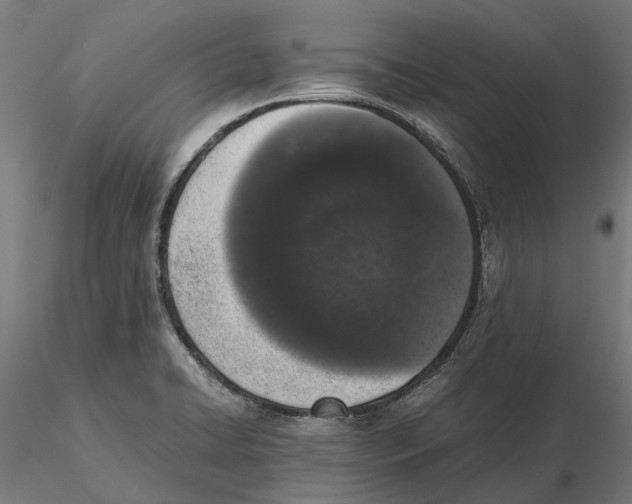 X0000115501422200912041028