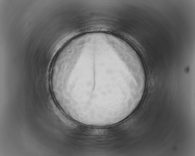 X0000115501423200912041028