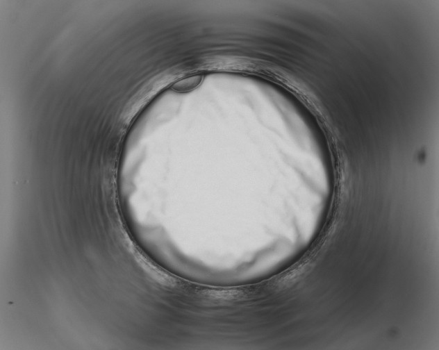 X0000115501425200912041028
