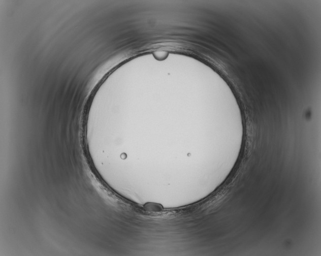 X0000115501426200912041028