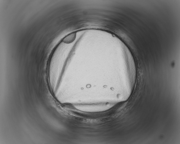 X0000115501427200912041028