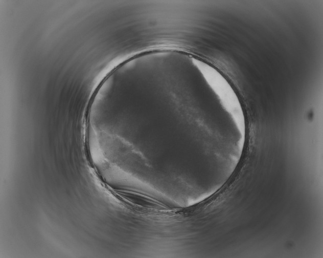 X0000115501428200912041028