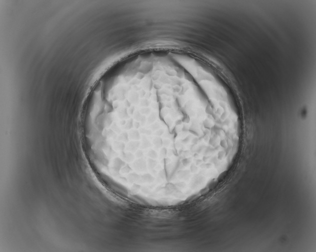 X0000115501429200912041028