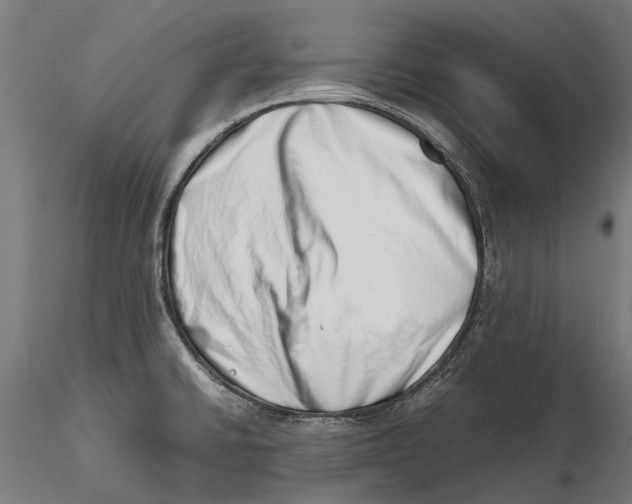 X0000115501430200912041028
