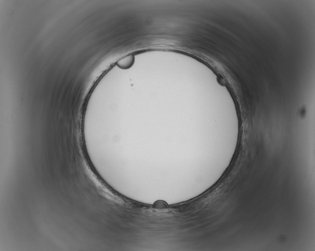 X0000115501432200912041028