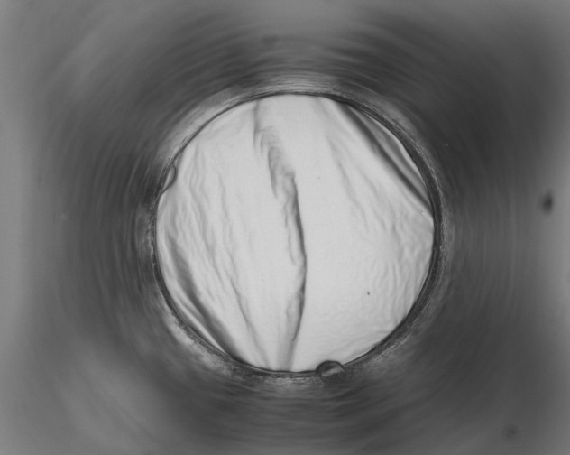 X0000115501433200912041028