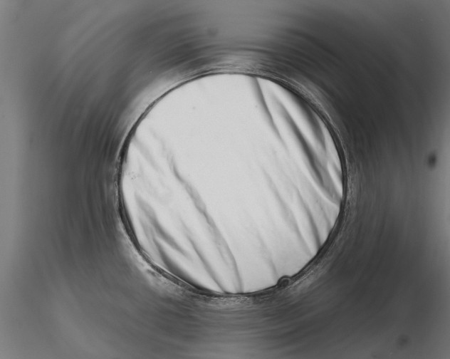 X0000115501434200912041028