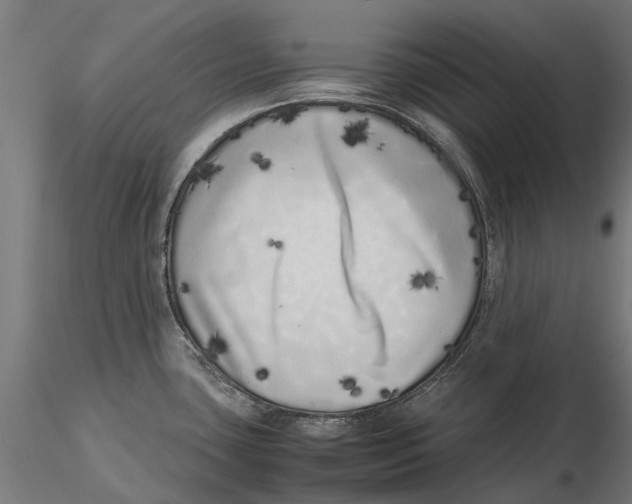 X0000115501435200912041028