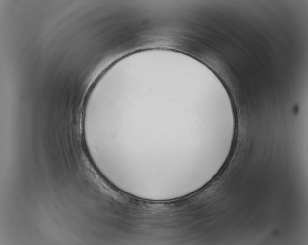 X0000115501436200912041028