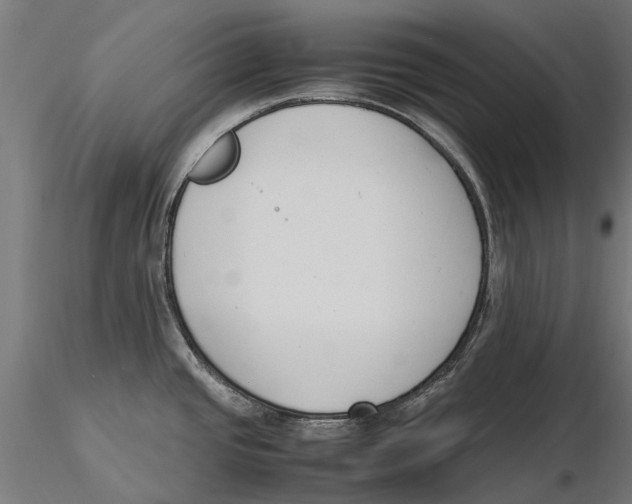 X0000115501437200912041028