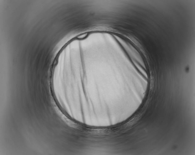 X0000115501438200912041028