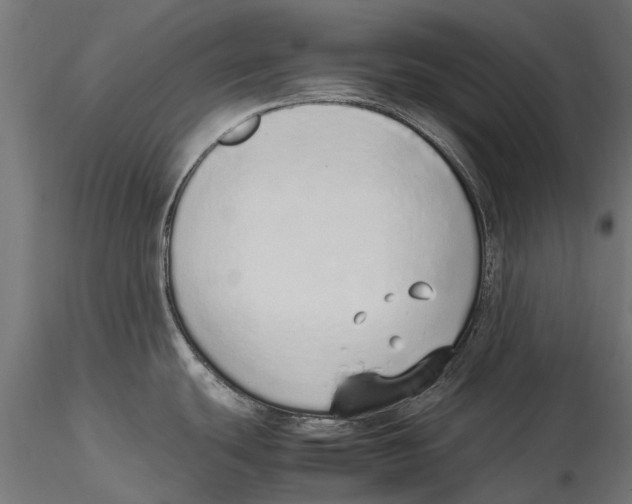 X0000115501439200912041028