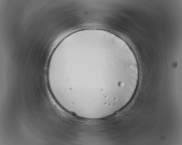 X0000115501440200912041028