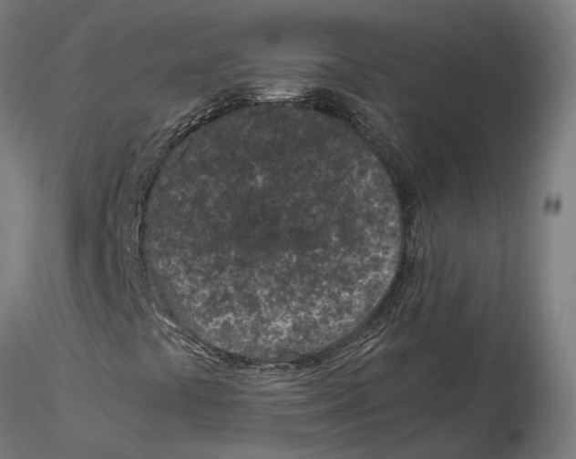 X0000115501441200912041027