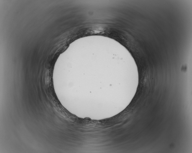 X0000115501442200912041027