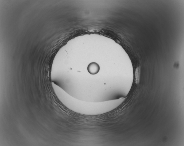X0000115501443200912041027