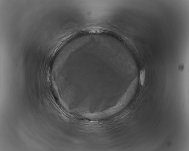 X0000115501444200912041027