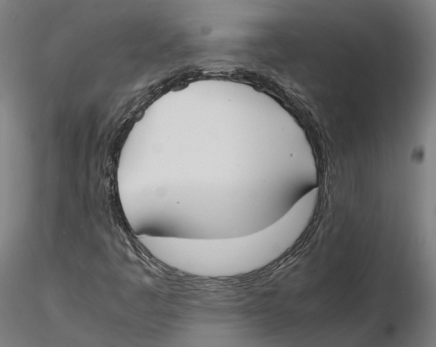 X0000115501445200912041027