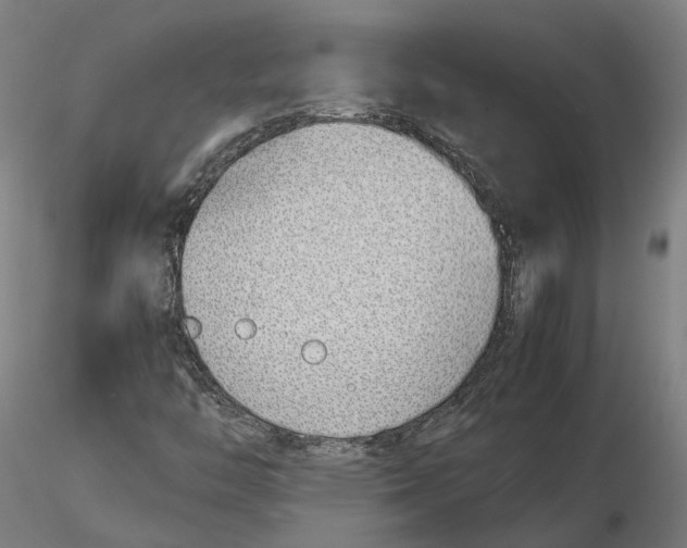 X0000115501446200912041027