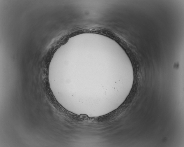 X0000115501447200912041027