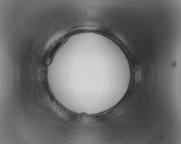 X0000115501448200912041027