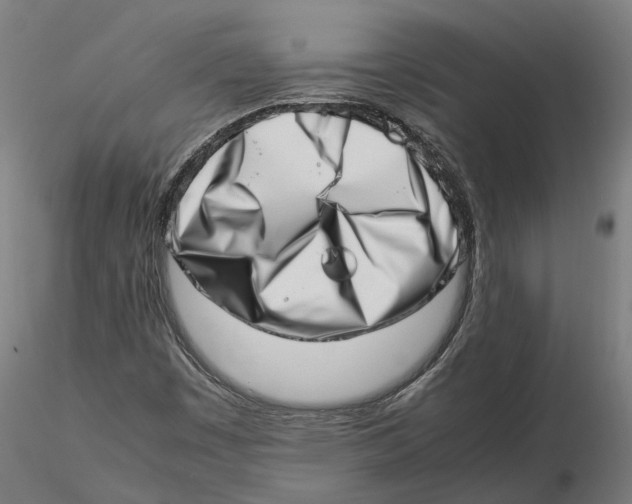 X0000115501449200912041027