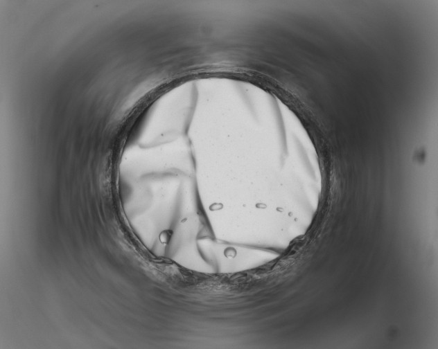 X0000115501450200912041027