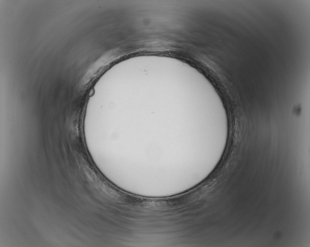 X0000115501451200912041027