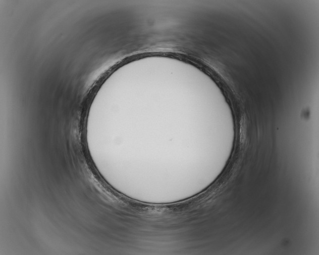 X0000115501452200912041027