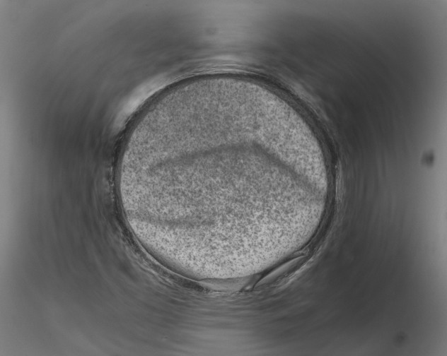 X0000115501453200912041027
