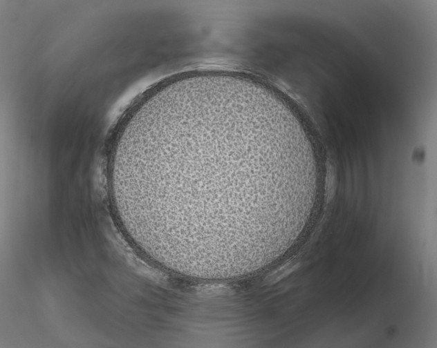 X0000115501454200912041027