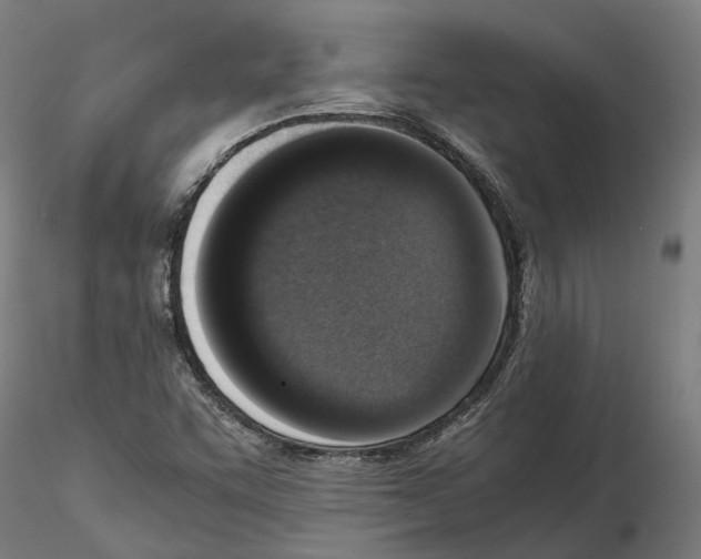 X0000115501455200912041027