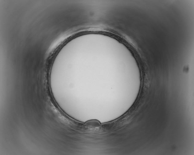 X0000115501456200912041027