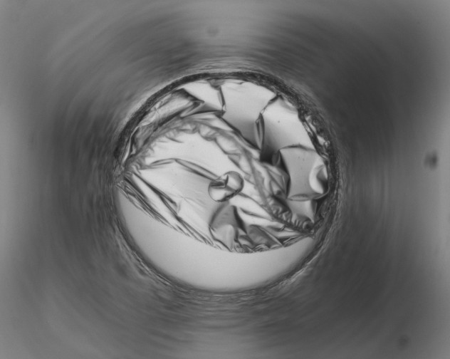 X0000115501457200912041027