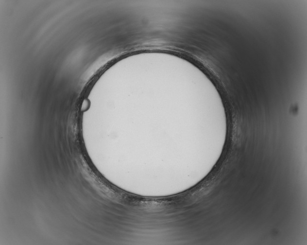 X0000115501458200912041027