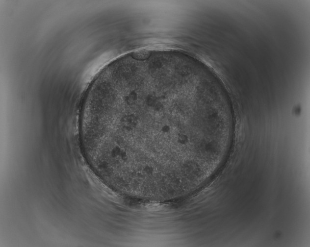 X0000115501459200912041027