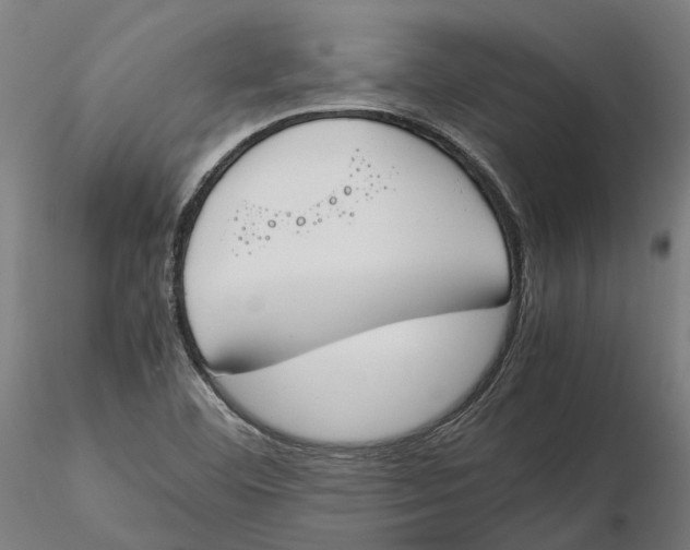 X0000115501460200912041027