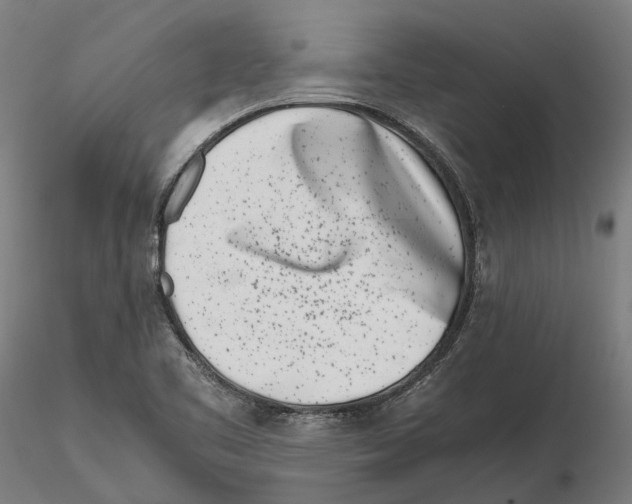 X0000115501461200912041027
