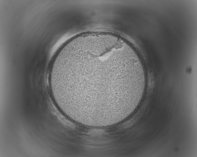 X0000115501462200912041027