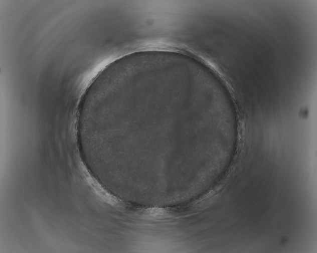 X0000115501463200912041027