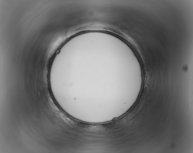X0000115501464200912041027
