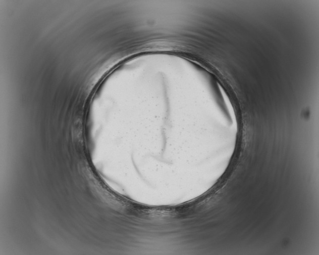 X0000115501465200912041027