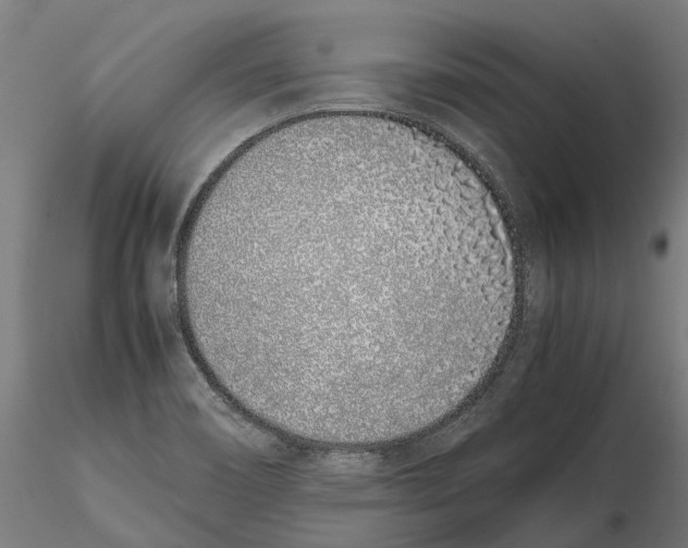 X0000115501466200912041027