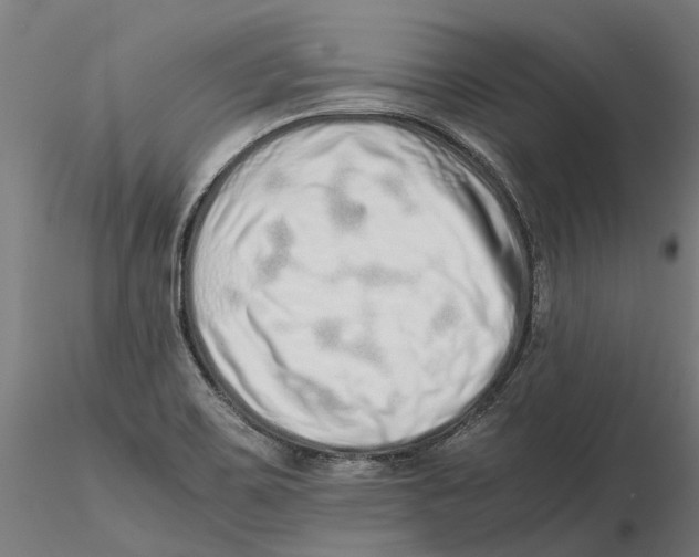 X0000115501467200912041027