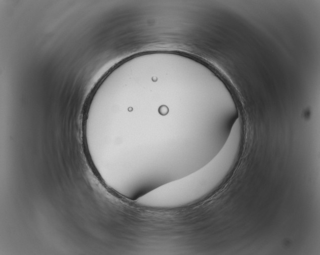 X0000115501468200912041027