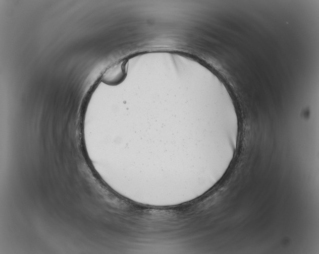 X0000115501469200912041027